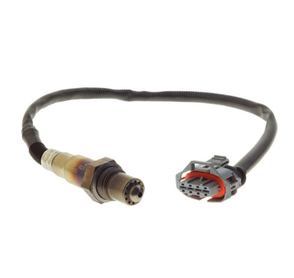 Holden VE VZ Commodore Pre/post Cat 4 wire O2 Oxygen Sensor 3.6 V6 LEO ...